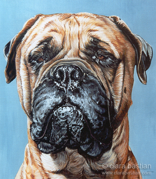543x625 Clara Bastian Bullmastiff - Bullmastiff Painting