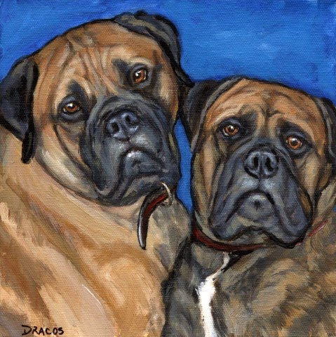 479x480 Dog Paintings (And Cat And Other Animals) By Dottie Dracos True - Bullmastiff Painting