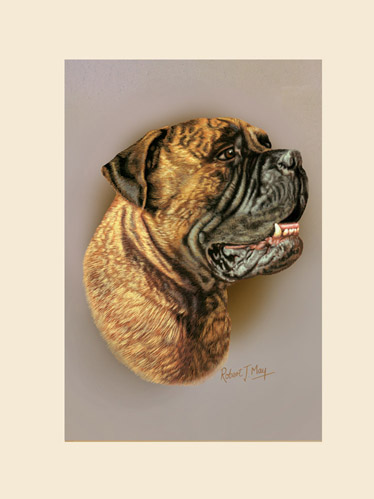 374x499 Original Bullmastiff Painting - Bullmastiff Painting