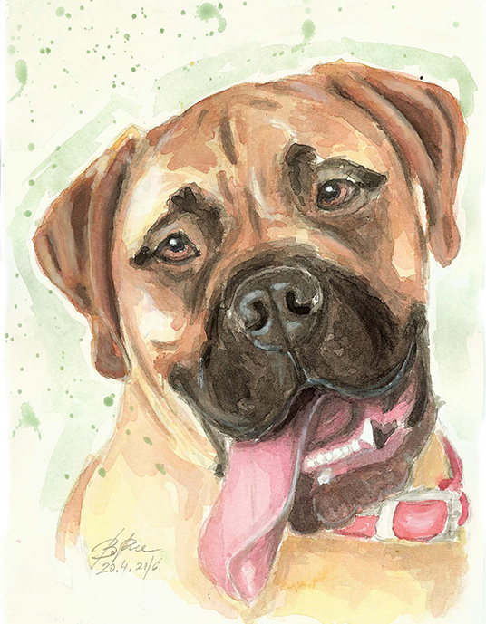 536x689 Bababarbi Pet Painting - Bullmastiff Painting
