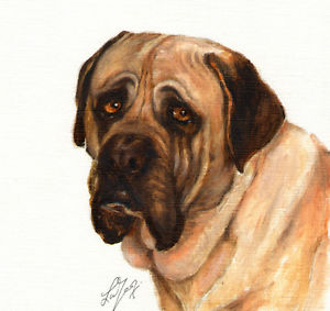 300x283 Original Oil Dog Portrait Painting Bullmastiff Artwork Art Decor - Bullmastiff Painting