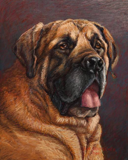 520x650 Bull Mastiff Portrait By Sue Deutscher - Bullmastiff Painting