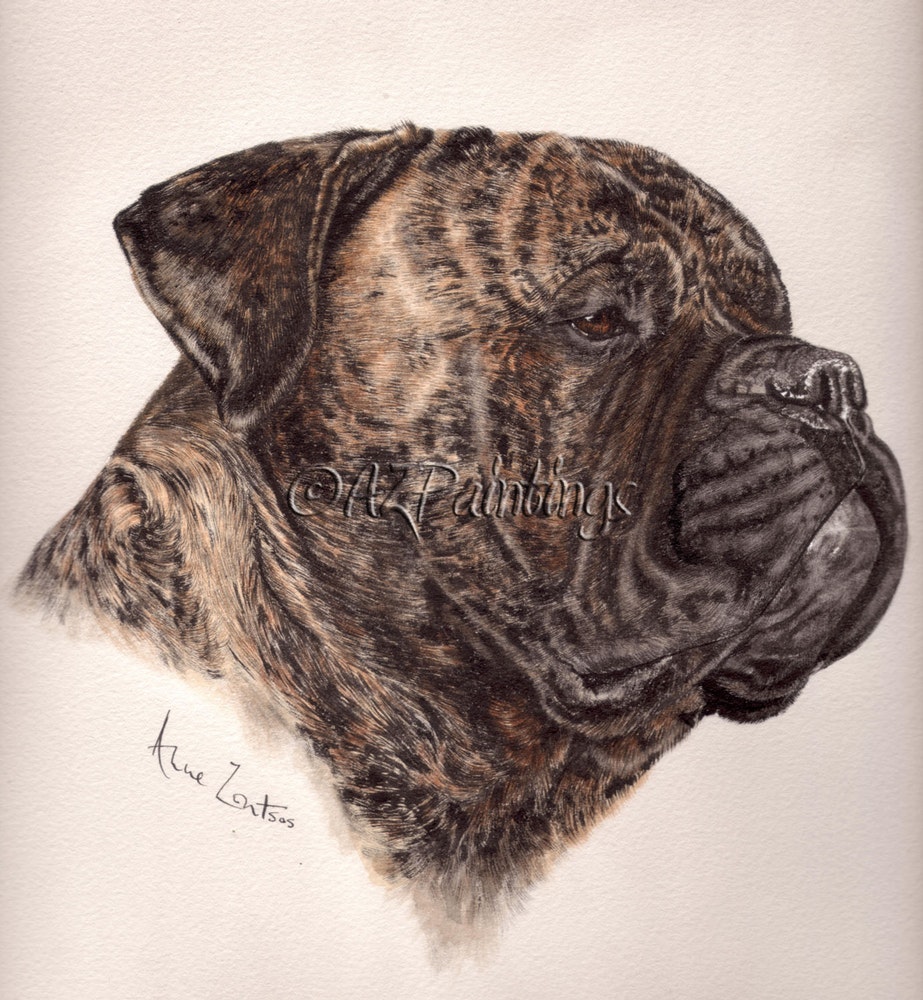 923x1000 Bullmastiff - Bullmastiff Painting