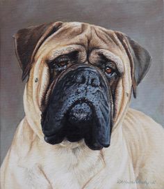 236x271 Bullmastiff Art Print Of Original Watercolor Painting - Bullmastiff Painting