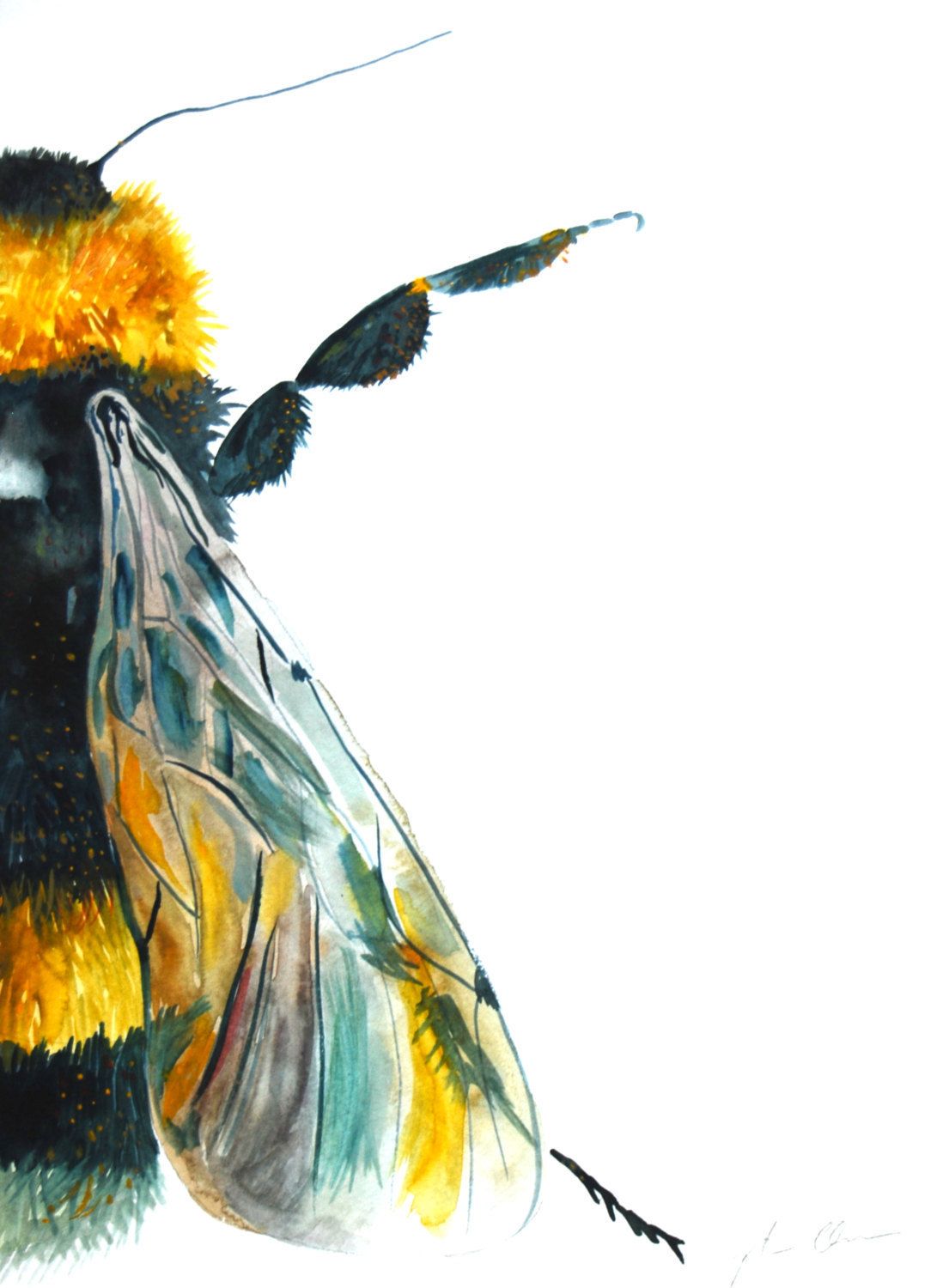 1105x1500 Watercolor Painting, Original Art, Bumble Bee, Large, 11x15 - Bumble Bee Painting