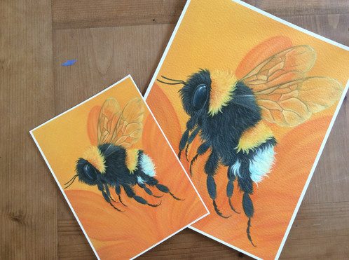 498x371 Bumble Bee Painting - Bumble Bee Painting