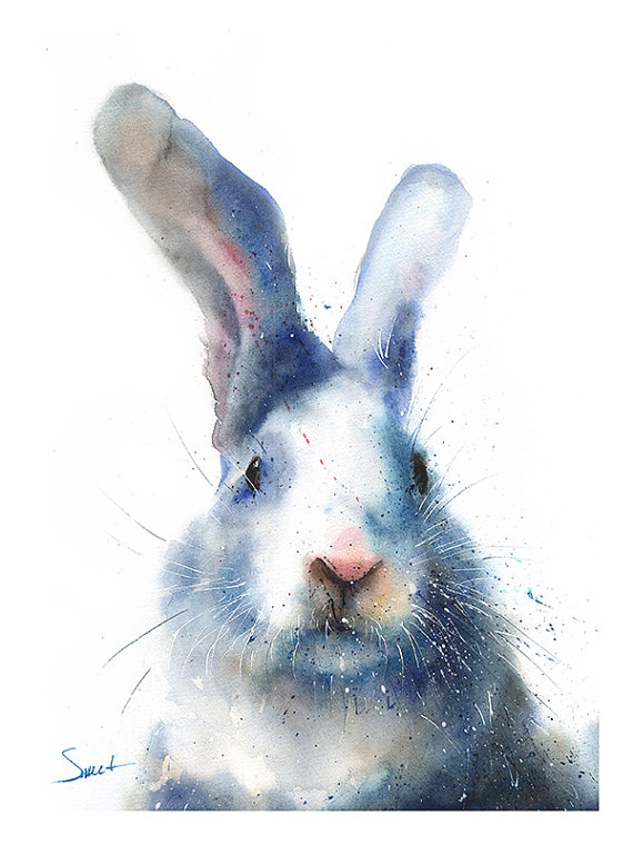 570x760 Rabbit Art Print Rabbit Print Bunny Print Rabbit - Bunny Painting
