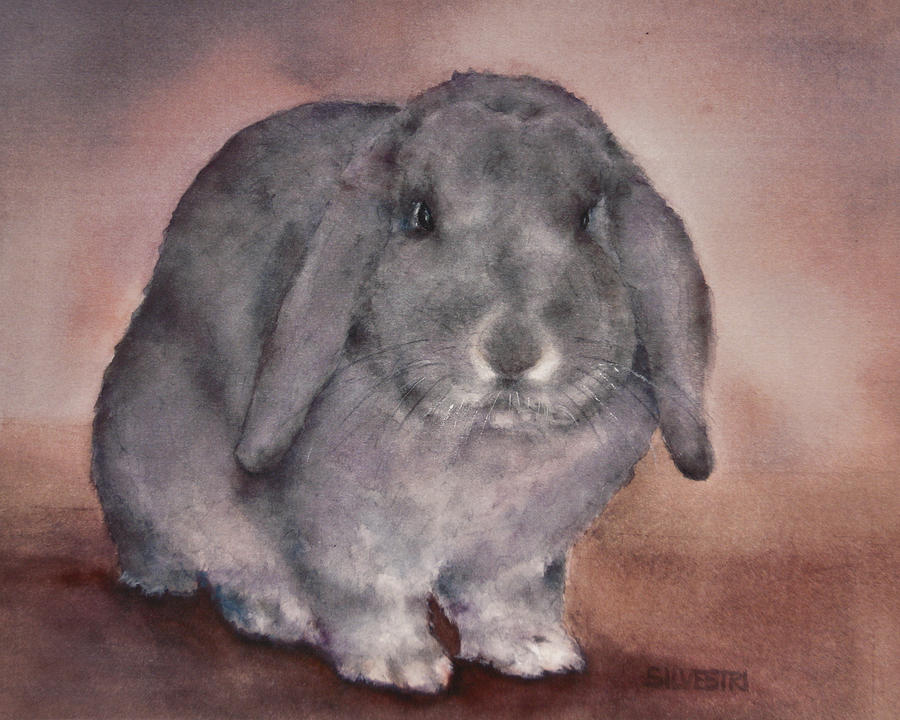 900x720 Grey Lop Bunny Rabbit Painting By Teresa Silvestri - Bunny Rabbit Painting