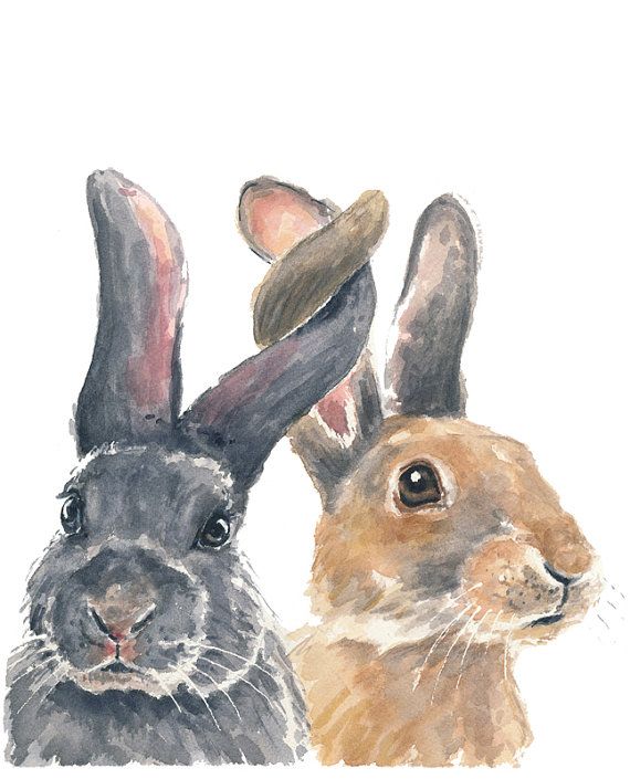 570x705 Original Rabbit Watercolor Painting - Bunny Rabbit Painting