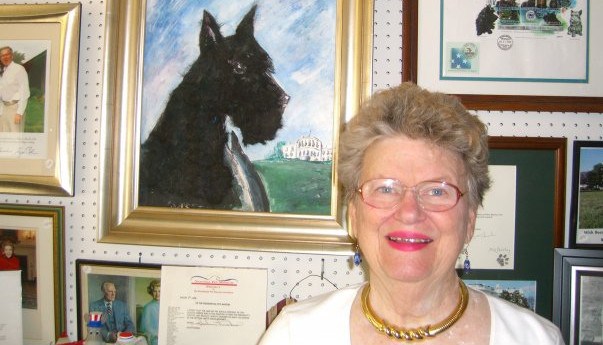 603x345 Media Coverage - Bush Dog Painting