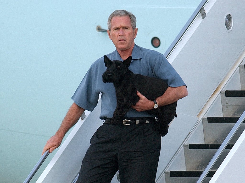 1024x768 While You Were Sleeping, George W Bush Was Probably Painting Dogs - Bush Dog Painting