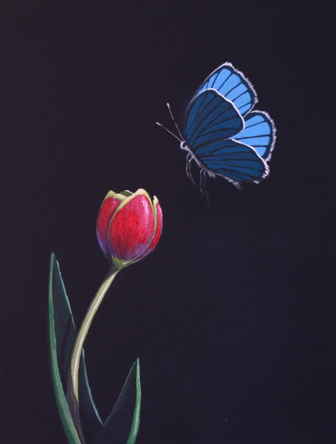 484x640 Tulip And Butterfly Acrylic Painting Lesson Tim Gagnon Studio - Butterfly Acrylic Painting
