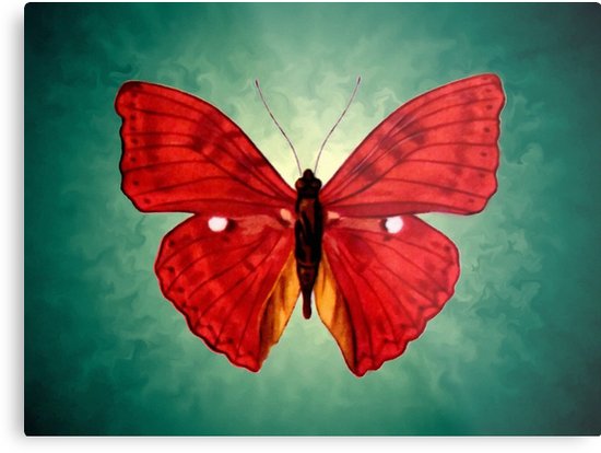 550x414 Red Butterfly Acrylic Painting Metal Prints By Goldyparazi - Butterfly Acrylic Painting