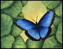 216x168 Bugs Gallery - Butterfly Acrylic Painting