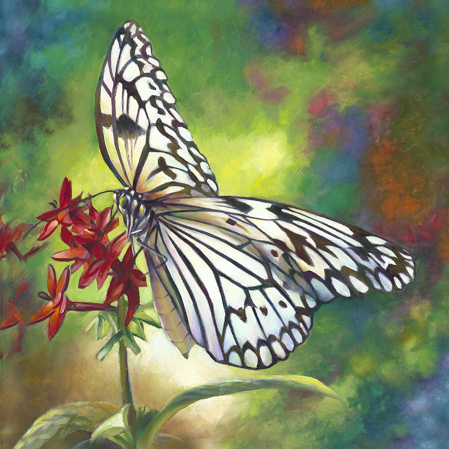 900x900 Butterfly On Flower Paintings Fine Art America - Butterfly And Flower Painting