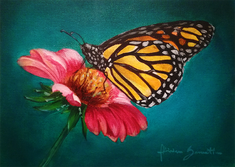 800x571 Butterfly On Flower Painting - Butterfly Flower Painting