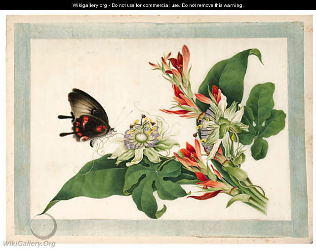 640x509 Flower And Butterfly - Butterfly Flower Painting