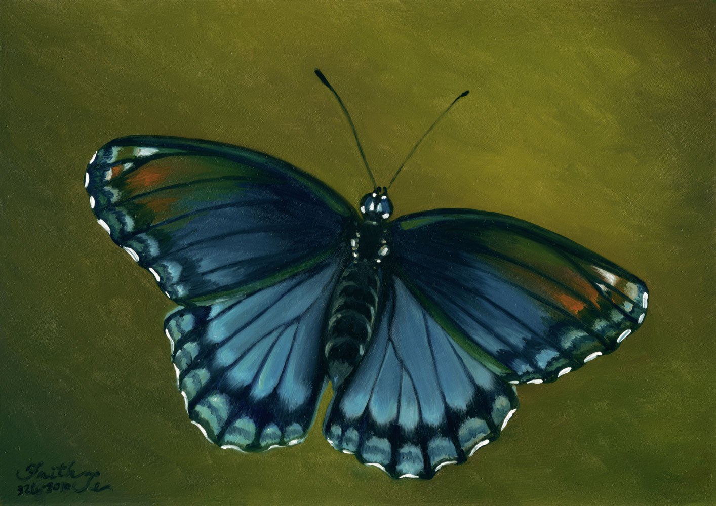 Butterfly Oil Painting at PaintingValley.com | Explore collection of ...