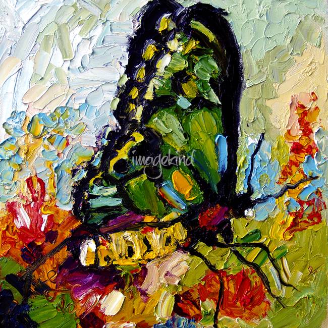 650x650 Tropical Butterfly Oil Painting By Ginette By Ginette Callaway - Butterfly Oil Painting