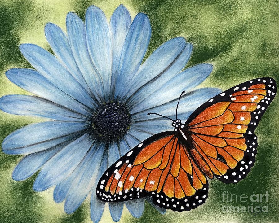 900x720 Daisy Butterfly Painting By Suzanne Buttle - Butterfly On Daisy Painting