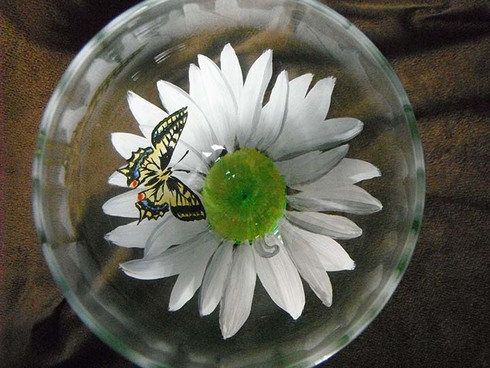 490x368 Hand Painted Daisy With Butterfly Wine Glass - Butterfly On Daisy Painting