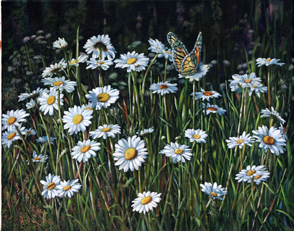 600x471 Painting A Daisy Afternoon, Florals Amp Through The Garden Gate - Butterfly On Daisy Painting