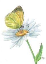161x225 Butterfly Painting Ebay - Butterfly On Daisy Painting