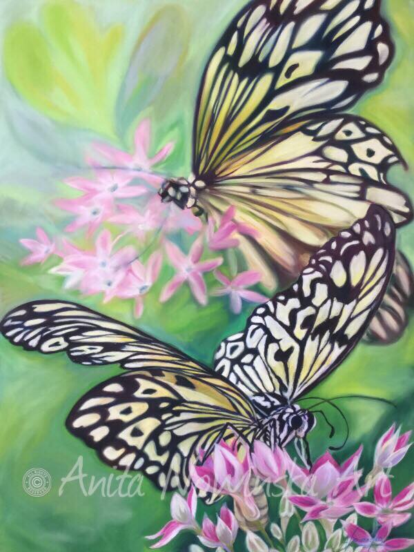600x800 Artist's Journey Through A Butterfly Painting - Butterfly On Flower Painting