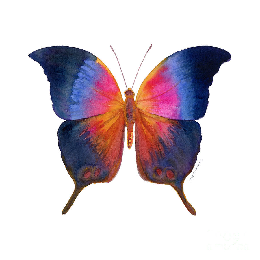 900x900 96 Brushfoot Butterfly Painting By Amy Kirkpatrick - Butterfly Painting
