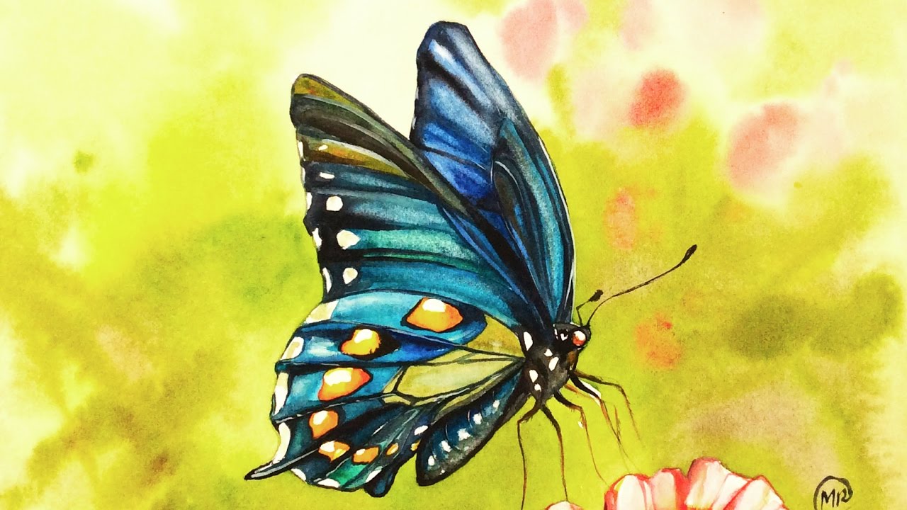 1280x720 Watercolor Blue Butterfly Painting Demonstration - Butterfly Painting