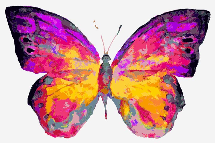 720x480 Butterfly Painting - Butterfly Painting For Kids