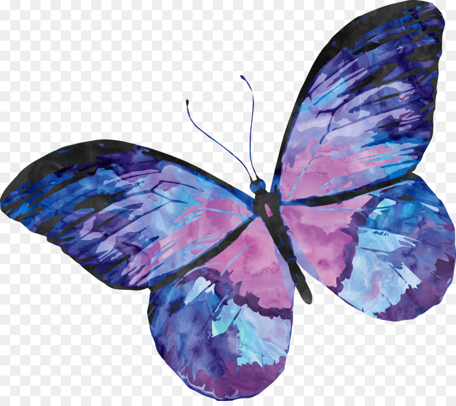 900x800 Papillon Dog Butterfly Watercolor Painting - Butterfly Painting Images