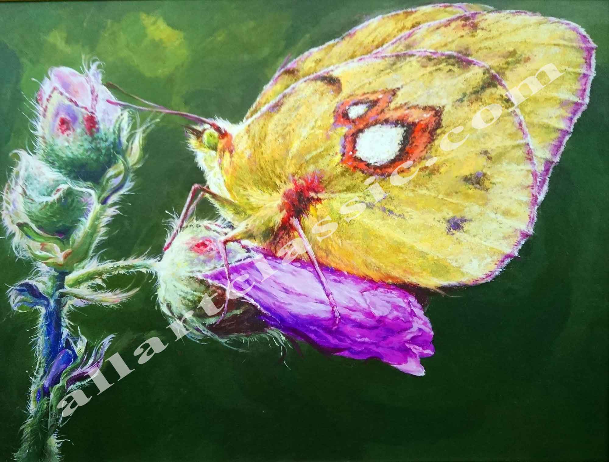 2000x1516 Cheap Paintings For Sale - Butterfly Painting Pictures