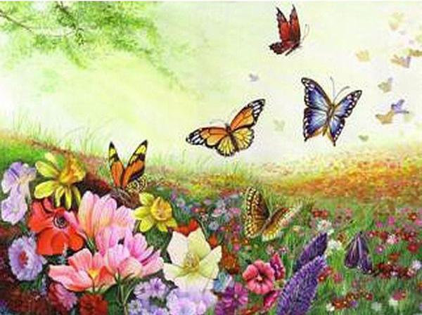 600x448 Diy Painting By Numbers - Butterfly Painting Pictures