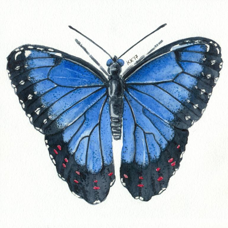 770x770 Saatchi Art Blue Morpho Butterfly Painting By Katerina Kirilova - Butterfly Painting Pictures