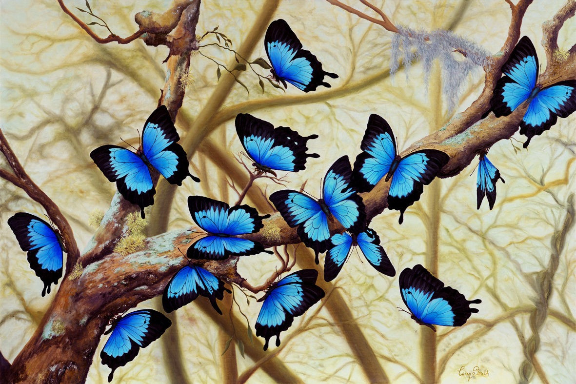1181x787 Ulysses Butterflies Painting Fly - Butterfly Painting Pictures