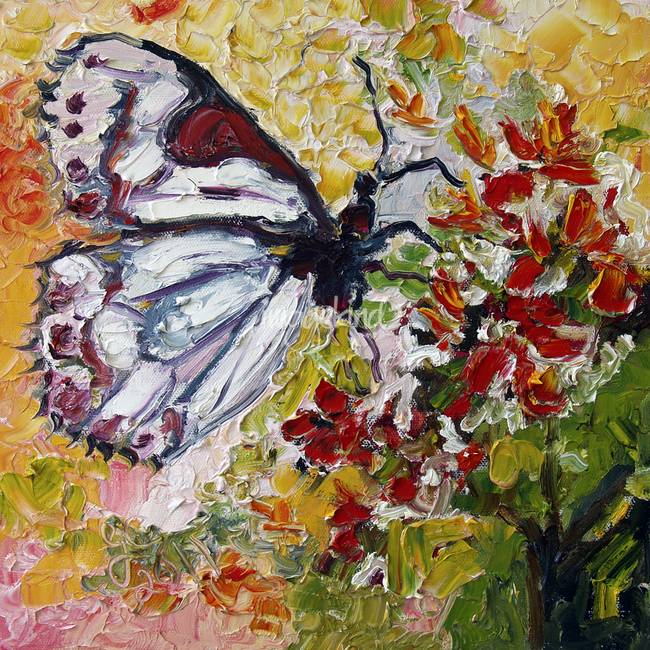 650x650 White Butterfly Oil Painting By Ginette Callaway By Ginette Callaway - Butterfly Painting Pictures