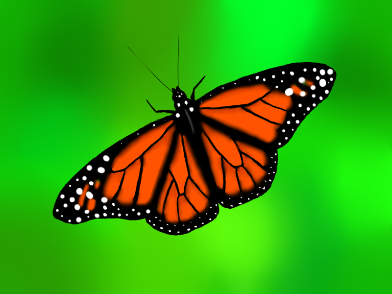 800x600 Monarch Butterfly Painting By Natster105 - Butterfly Painting Pictures