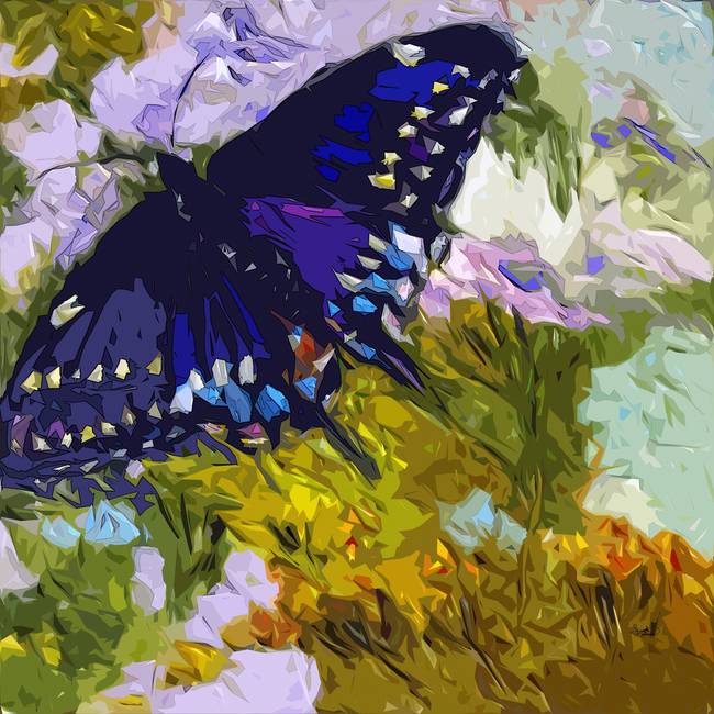650x650 Abstract Butterfly Painting Black Swallowtail By Ginette Callaway - Butterfly Painting Pictures