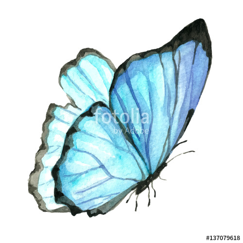 500x500 Illustration Of A Blue Butterfly Painted By Hand With Watercolor - Butterfly Watercolor Painting