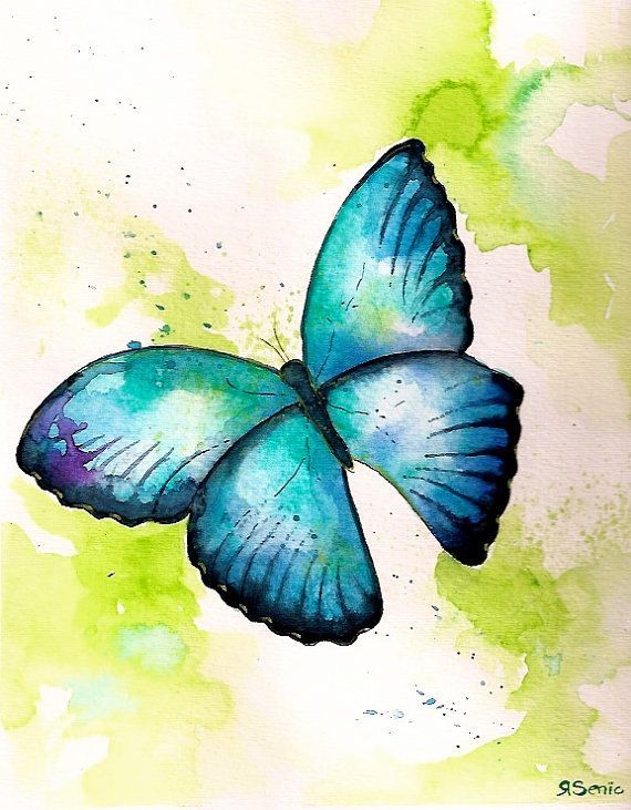 570x731 Image Result For Watercolour Paintings Of Butterflies Aquarela - Butterfly Watercolor Painting