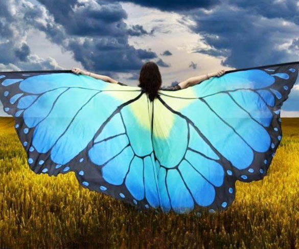 585x487 Hand Painted Silk Butterfly Wings - Butterfly Wing Painting