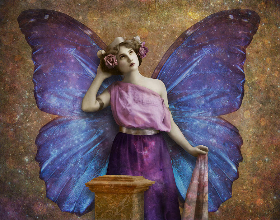 900x707 Vintage Woman With Butterfly Wings Digital Art By Cat Whipple - Butterfly Woman Painting