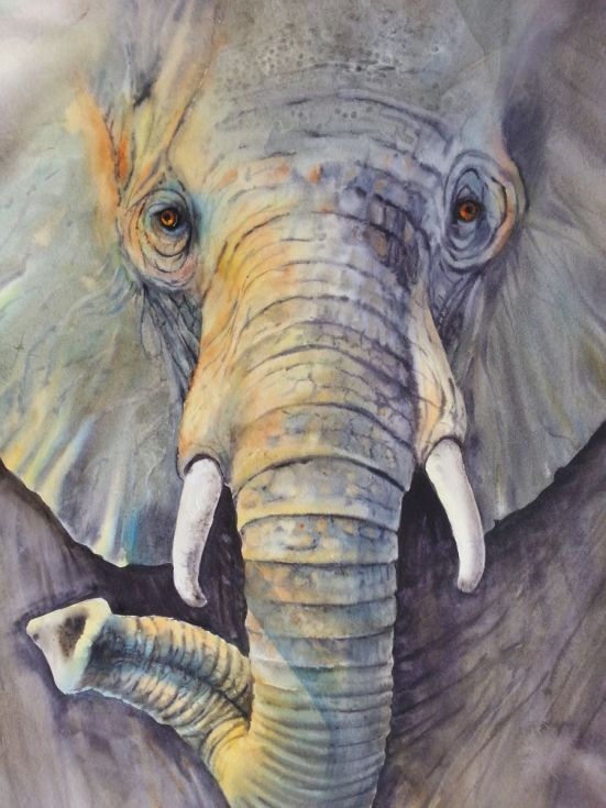 551x735 Majestic - Buy Elephant Painting