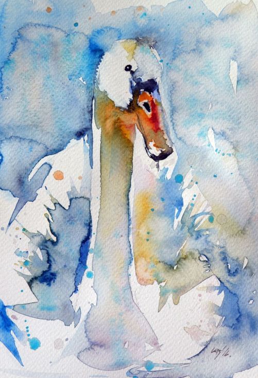 501x735 Swan Swans, Original Paintings And Watercolor - Buy Watercolour Painting