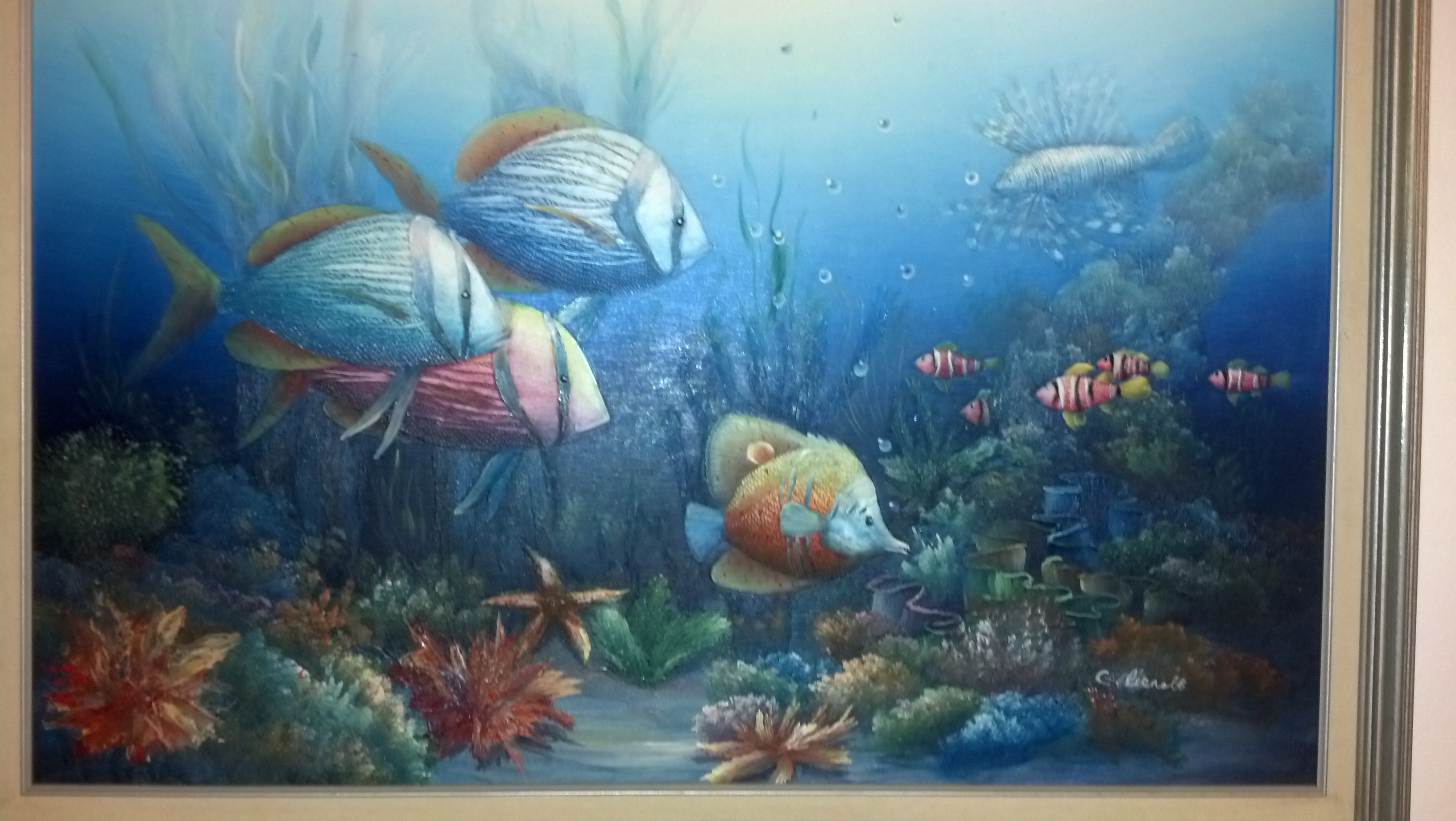 3264x1840 C Benolt Tropical Fish Antique Appraisal Instappraisal - C Benolt Painting