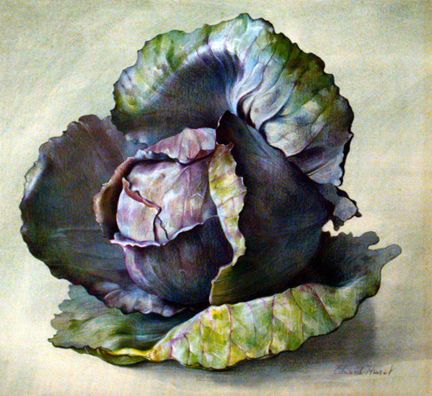 432x396 Pin By Claire Lasserre On Peinture Trompe L Oeil Natures Mortes - Cabbage Painting