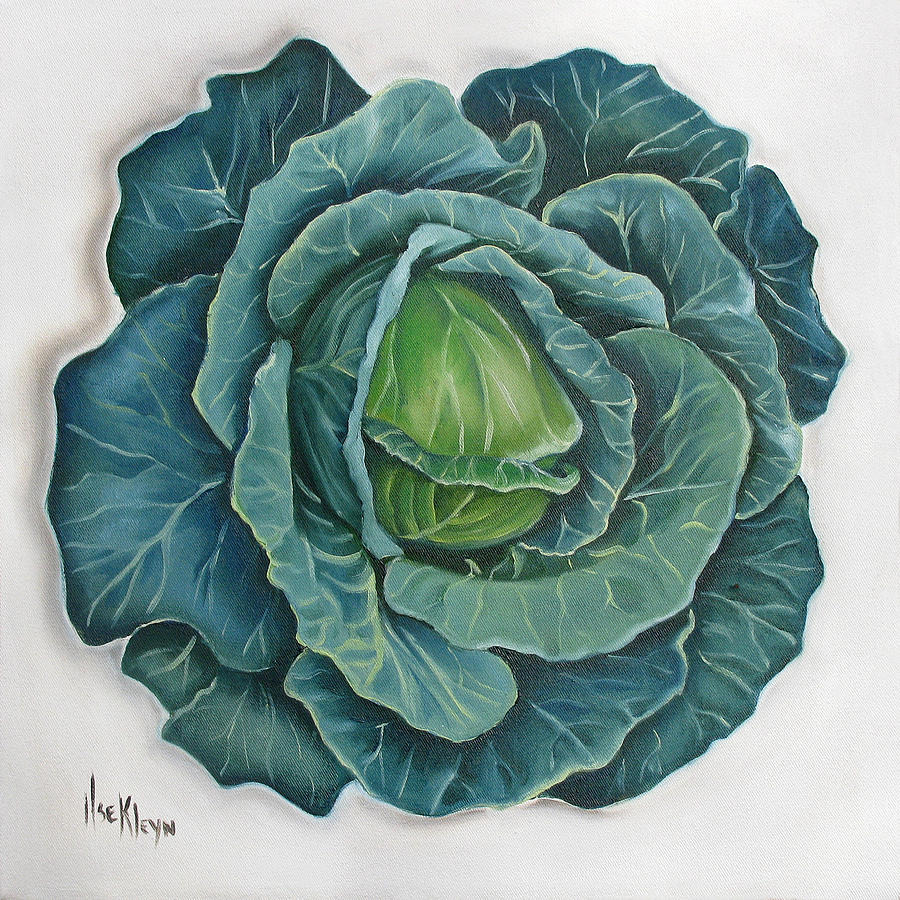 900x900 Related Keywords Amp Suggestions For Cabbage Painting - Cabbage Painting