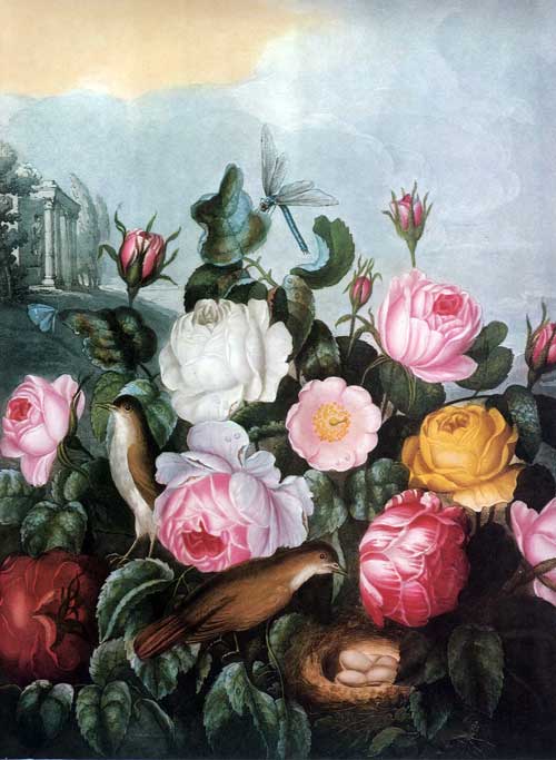 500x683 Paintings Of Flowers Like The Cabbage Rose Flourished In Victorian - Cabbage Rose Painting