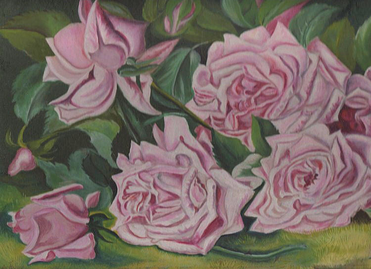 750x545 Victorian Cabbage Roses Oil Painting - Cabbage Rose Painting